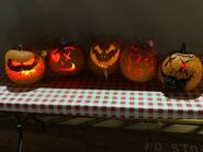 DFPumpkins