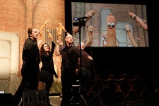 Stuffed and Unstrung