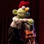 BoyAn original puppet used in improv games with puppeting by an audience member.