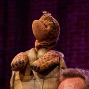 TortoiseA recycled puppet previously seen on Jim Henson's Animal Show and Bear in the Big Blue House.