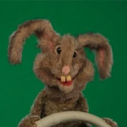 RabbitsThree rabbit puppets based on a design previously used for Hopper on Muppets Tonight.