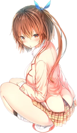 Light Novel