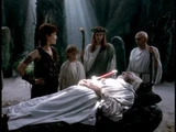 Druids