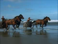 Chariot Race