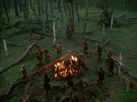 Northern Tribal Council