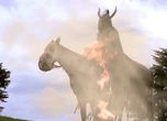 Horsemen of pestilence