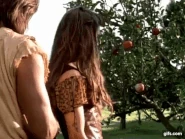 Sin (15).gif (7.5 MB)