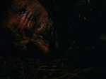 Borias is killed by Dagnine (XWP: "Past Imperfect")