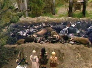 All the Centaurus are killed...
