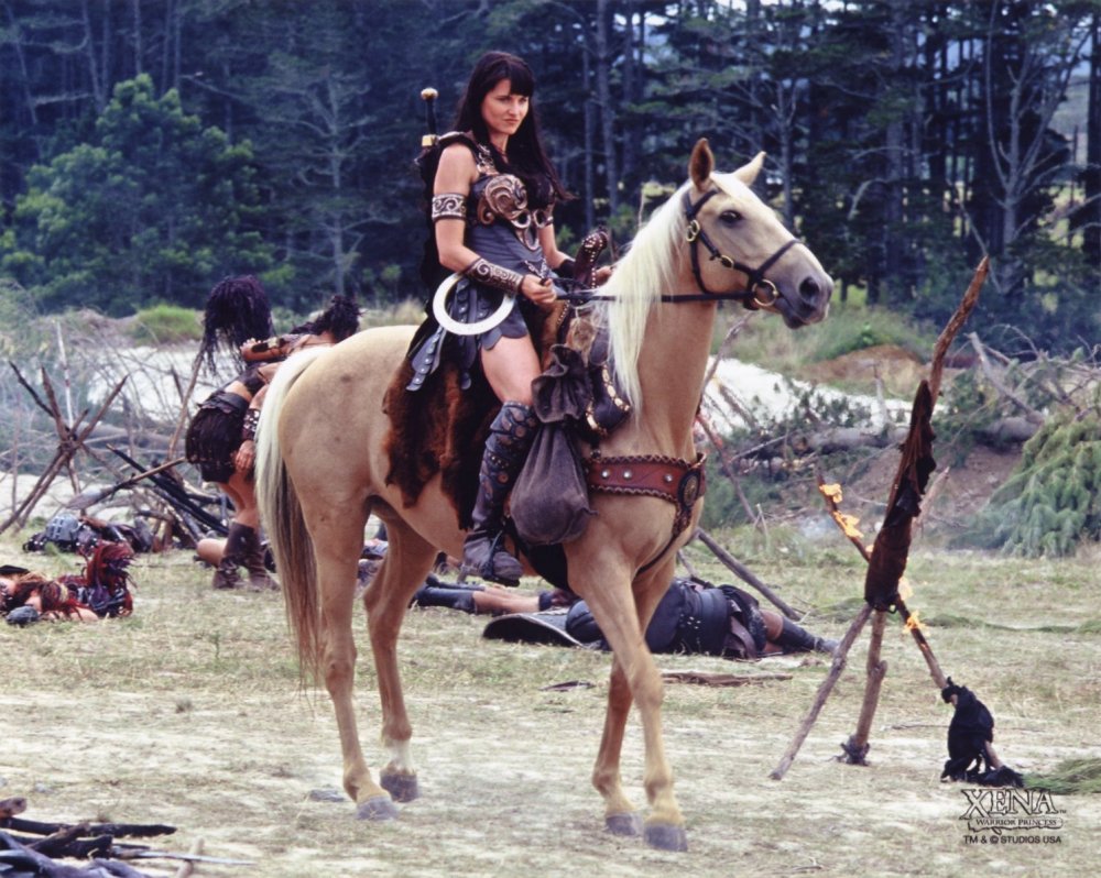 Pin by svetlana life on Kingdom Fantasy horses, Horse costumes, Horses