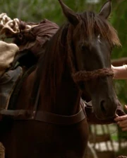 Sadie in "One Fowl Day"