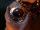 Hind's Blood Pendant