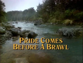 Pride brawl title