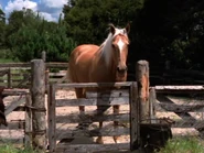 Argo II (XWP: "Livia")