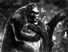 Kong