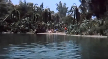 Gilligans Island