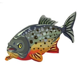 Redbelly Piranha | Here Be Monsters Wiki | Fandom