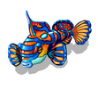 Mandarinfish