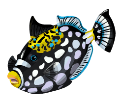 Clown Triggerfish, Feed and Grow Fish Wikia