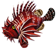 Red Lionfish