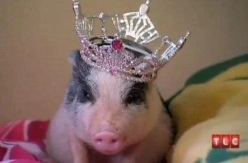 Glitzy | Here Comes Honey Boo Boo Wiki | Fandom