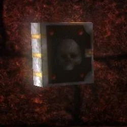 Category:Hexen II Item | Heretic Wiki | Fandom