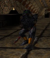 Were Panther blocking attack from the player