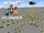 IJevin's Hermits Reloaded: Episode 10