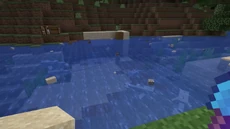 Grian's place to gather dolphins.