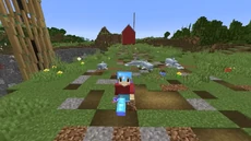 Grian transporting dolphin near the edge of the Perimeter.