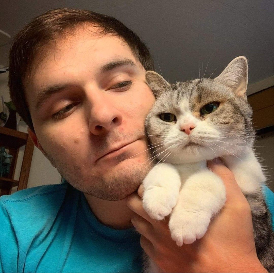 джелли кошка в майнкрафт