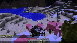 Hypnotizd's Season 1 - Episode 18