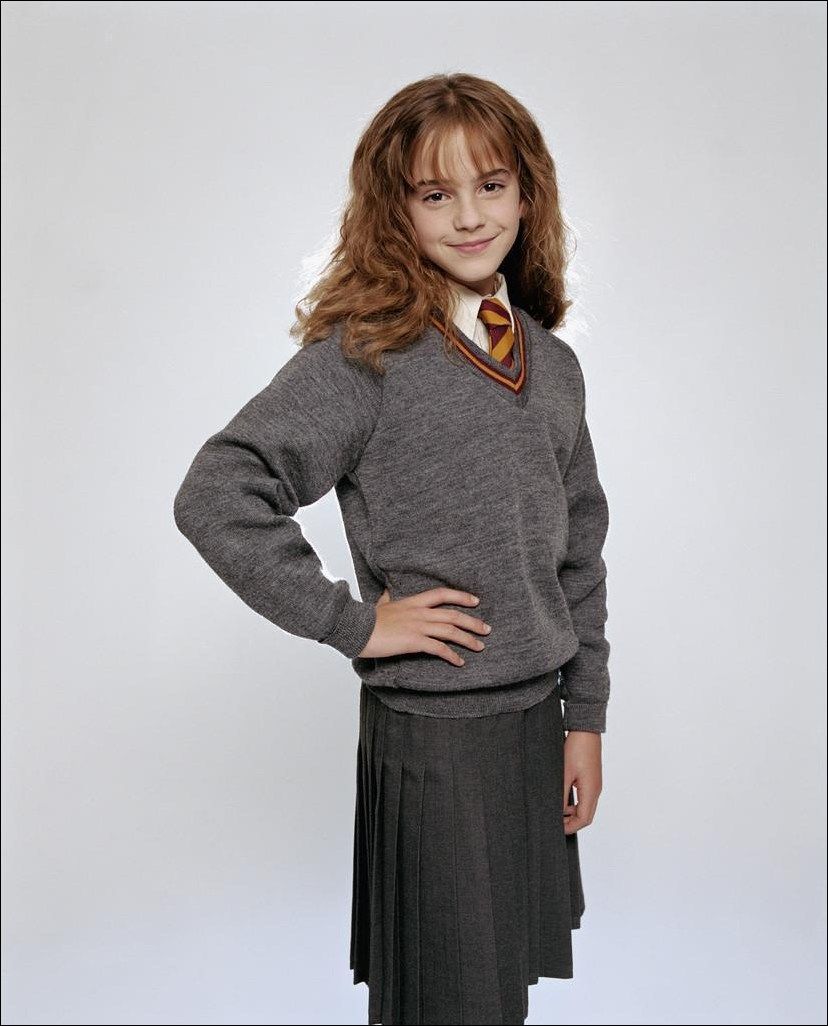 Hermione Granger, Movie Heroes and Villains Wiki