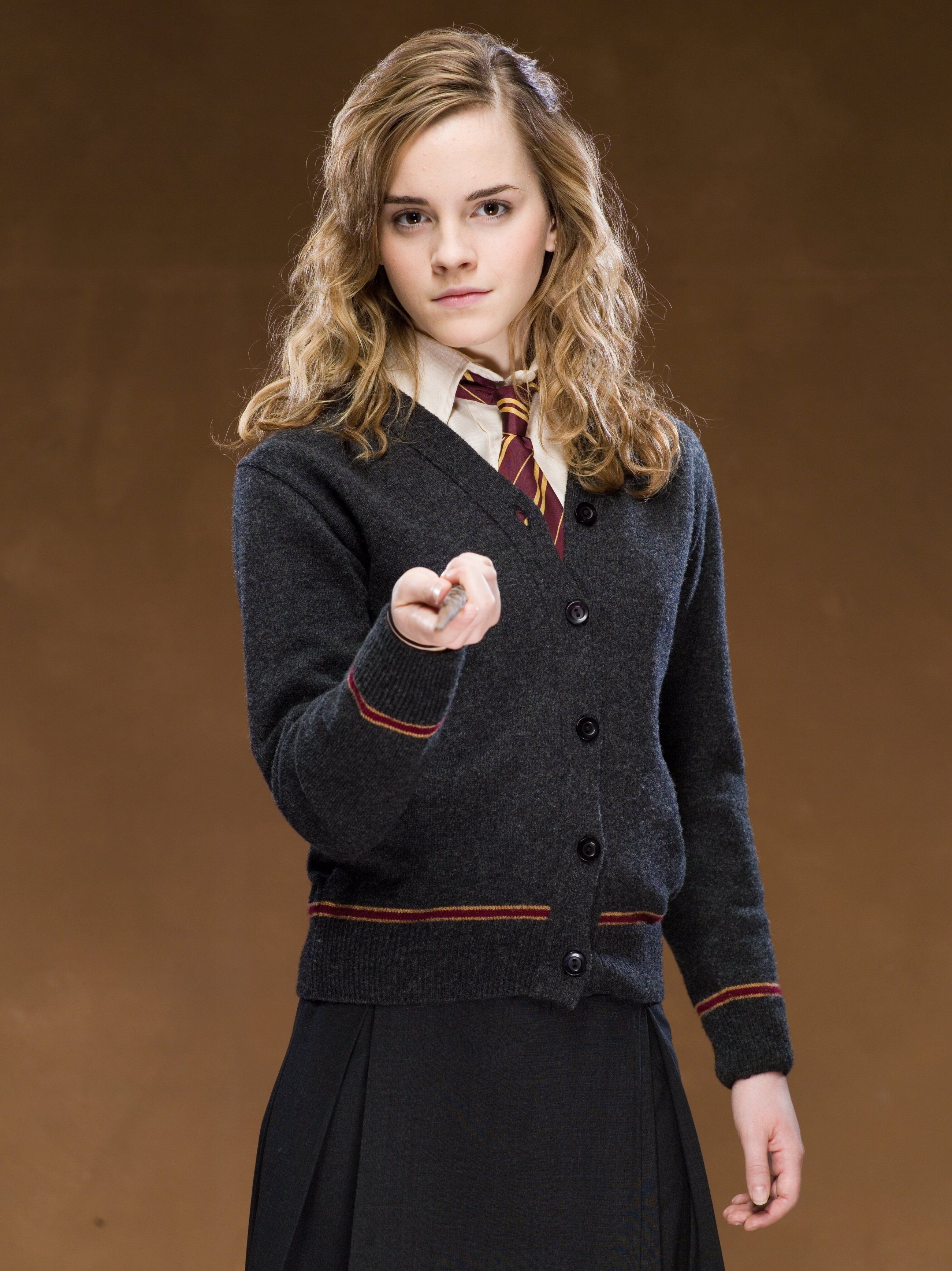 Hermione Granger, Hero and villains Wiki