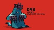 Star Nosed Moles 142