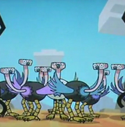 Ostriches and their king