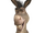 Burro