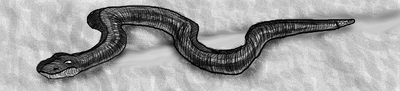 Pic35.png
