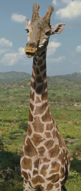 Ajarry