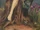 Dryads (folklore)