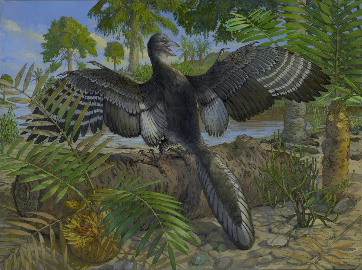 Archaeopteryx | Heroes and Villains Wiki | Fandom