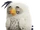 Cyrus (Angry Birds)