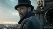 Jude Law as Albus Dumbledore in Fantantistic Beasts: Series