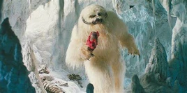 Wampa