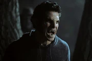 Scott McCall werewolf