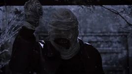 The Nogitsune