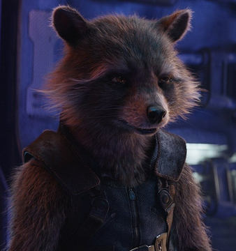 Rocket Raccoon Marvel Cinematic Universe Heroes and Villains