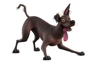 Mighty xolo dog hotsell