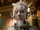 Shiver (The Nutcracker and the Four Realms)
