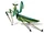 Mantis (Kung Fu Panda)